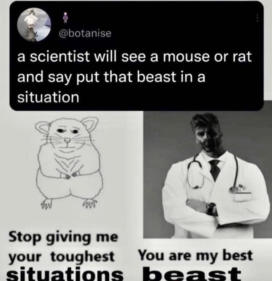 @botanise a scientist will see a mouse or rat and say put that beast in a situation Stop giving me your toughest You are my best