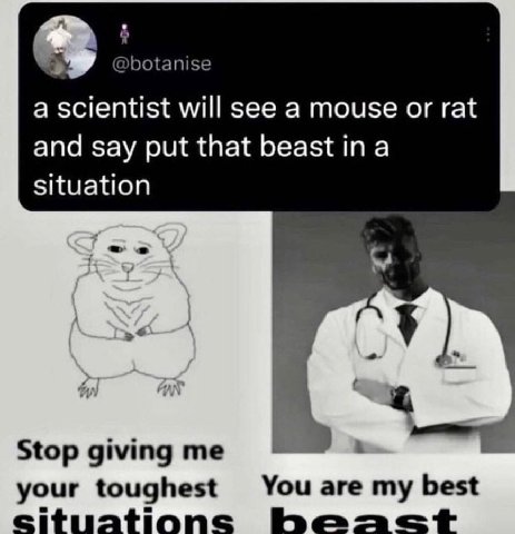 @botanise a scientist will see a mouse or rat and say put that beast in a situation Stop giving me your toughest You are my best