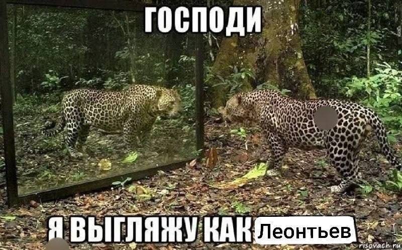 eee у 27 7 ВЫГЛЯЖУКАК Леонтьев