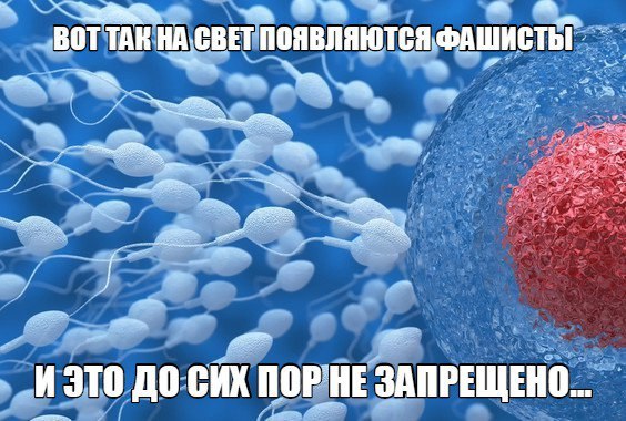BOT TAK СВЕТ ПОЯВЛЯЮТСЯ ФАШИСТЬГ И ЭТО ДО СИХ ЗАПРЕЩЕНО