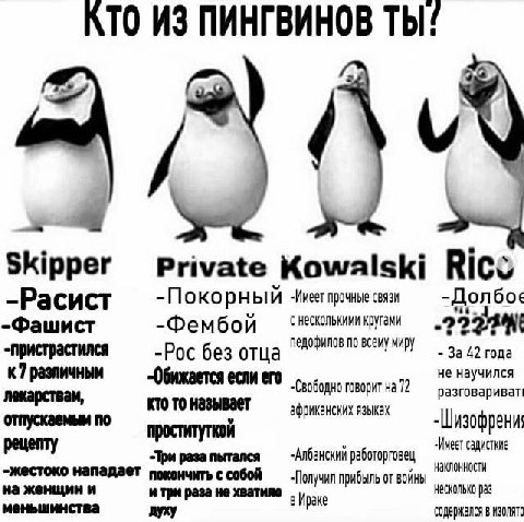 КТО ИЗ ПИНГВИНОВ ТЫ! ipper Private Kowalski Ricco -Расист -Покорный -Имет прочные связи -Дол бое -Фашист -Фембой несколькими кругами -Рос без отца педофилов по всему миру За 42 года к7 различным не на
