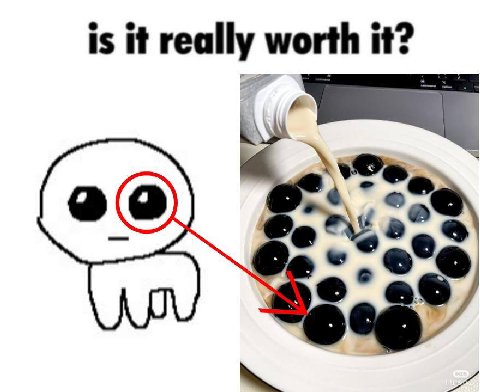 is it really worth it?