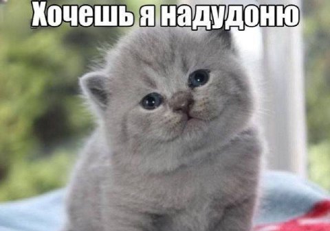 Кочешь янадудоню