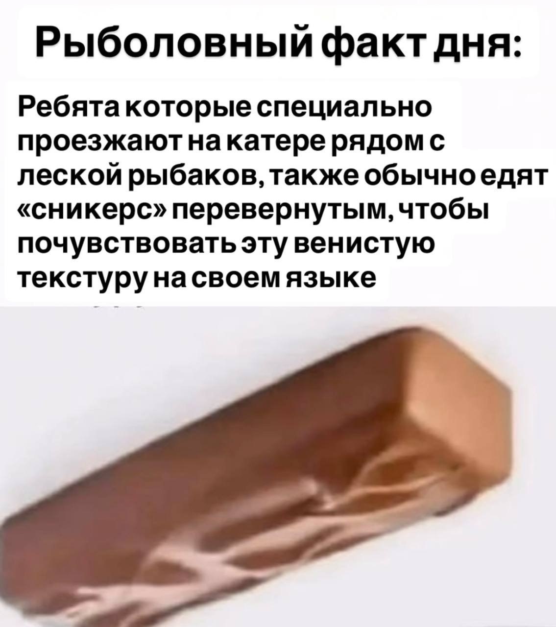 Рыболовный факт дня Pe6aATa специально проезжают накатерерядом с леской рыбаков, также обычноедят «сникерс» перевернутым, чтобы почувствовать эту венистую текстуру насвоем языке