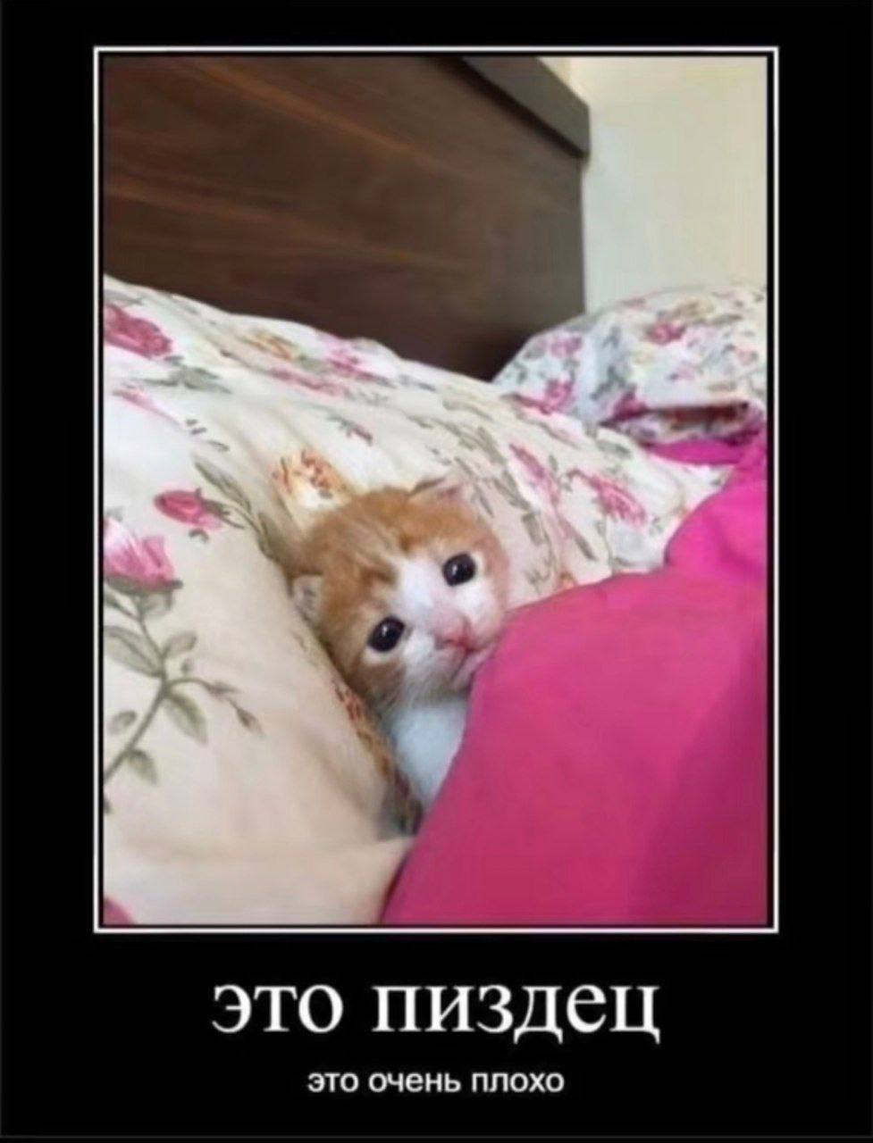 о это пиздец это очень плохо
