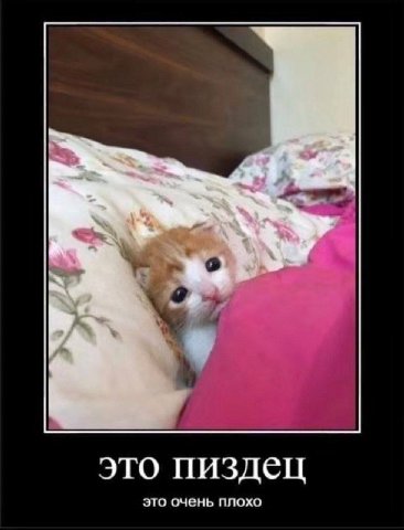 о это пиздец это очень плохо