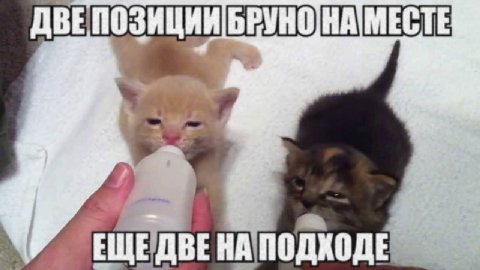 ДВЕПОЗИЦИИ МЕСТЕ