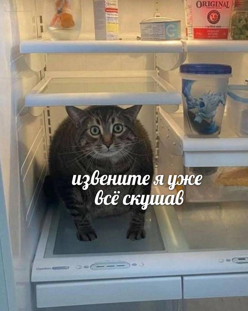 извените я уже Gcé скушав
