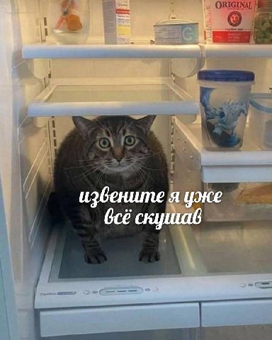 извените я уже Gcé скушав