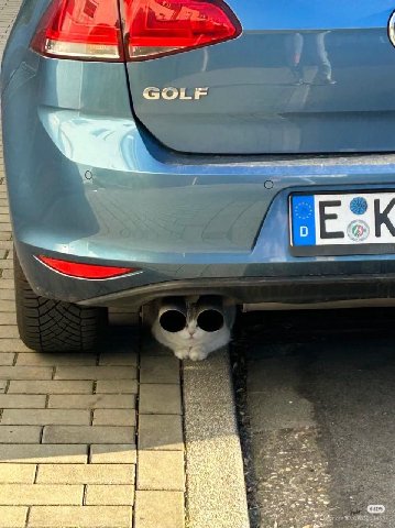 GOLF 22