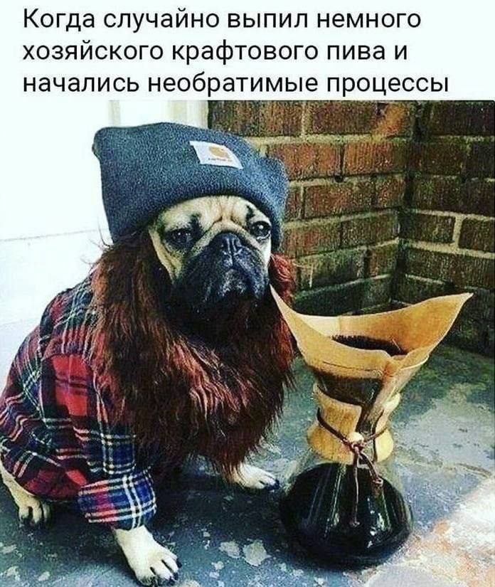 Когда случайно выпил немного XO3ANCKOrO крафтового пива и начались необратимые процессы if 4 a
