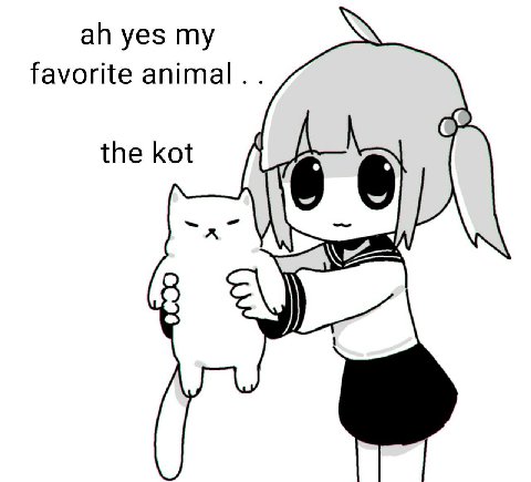 yes IN favorite animal thekot 6 6