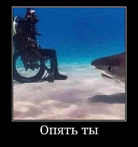 Опять ты
