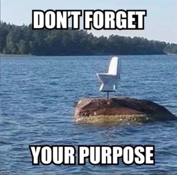 PURPOSE