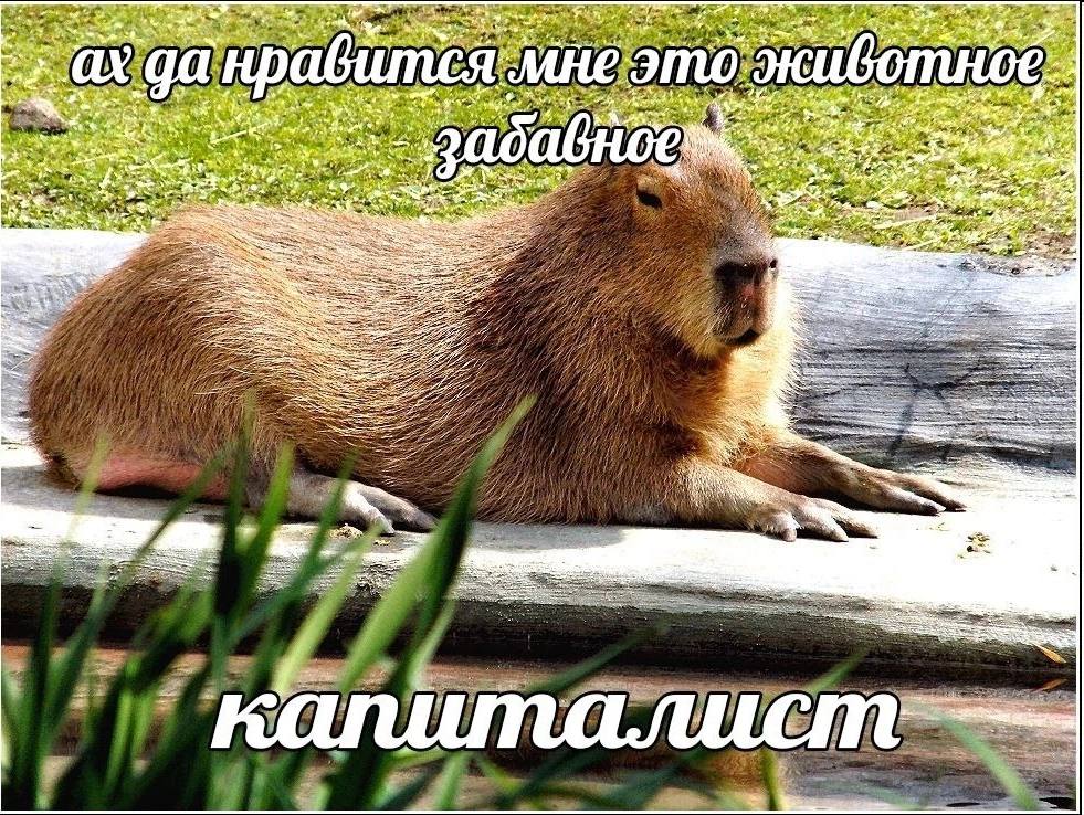 one Ney к МНЕ это 2$. и