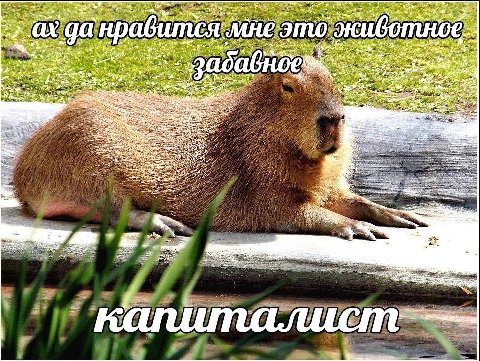 one Ney к МНЕ это 2$. и