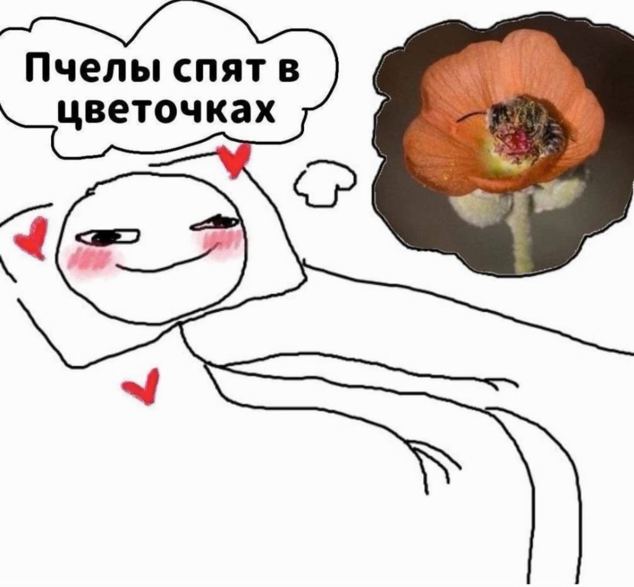 Пчелы спят в цветочках