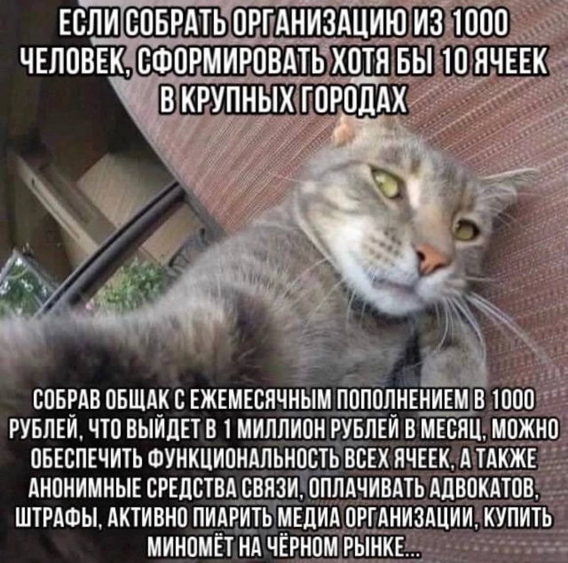 ЕСЛИ СОБРАТЬ ОРГАНИЗАЦИЮ ИЗ 1000 ЧЕЛОВЕК, СФОРМИРОВАТЬ ХОТЯ БЫ 10 ЯЧЕЕК ВКРУПНЫХ ГОРОДАХ 4. СОБРАВ ОБЩАК С ЕЖЕМЕСЯЧНЫМ ПОПОЛНЕНИЕМ В 1000 РУБЛЕИ. ЧТО ВЫИДЕТ 1 МИЛЛИОН РУБЛЕИ В МЕСЯЦ. МОЖНО ОБЕСПЕЧИТЬ 