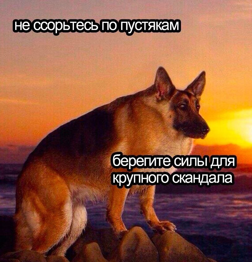 не ссорьтесь по пустякам берегите силы для крупного скандала
