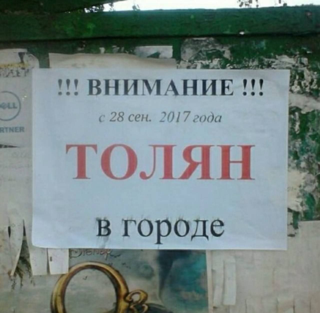 BHU НИЕ 25 сен. года ТОЛЯН в городе
