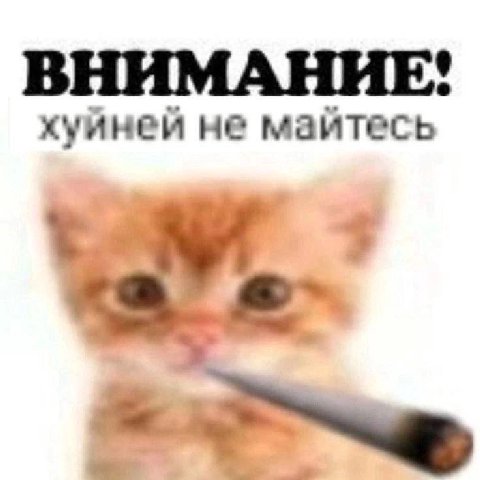 ВНИМАНИЕ! хуйней не майтесь