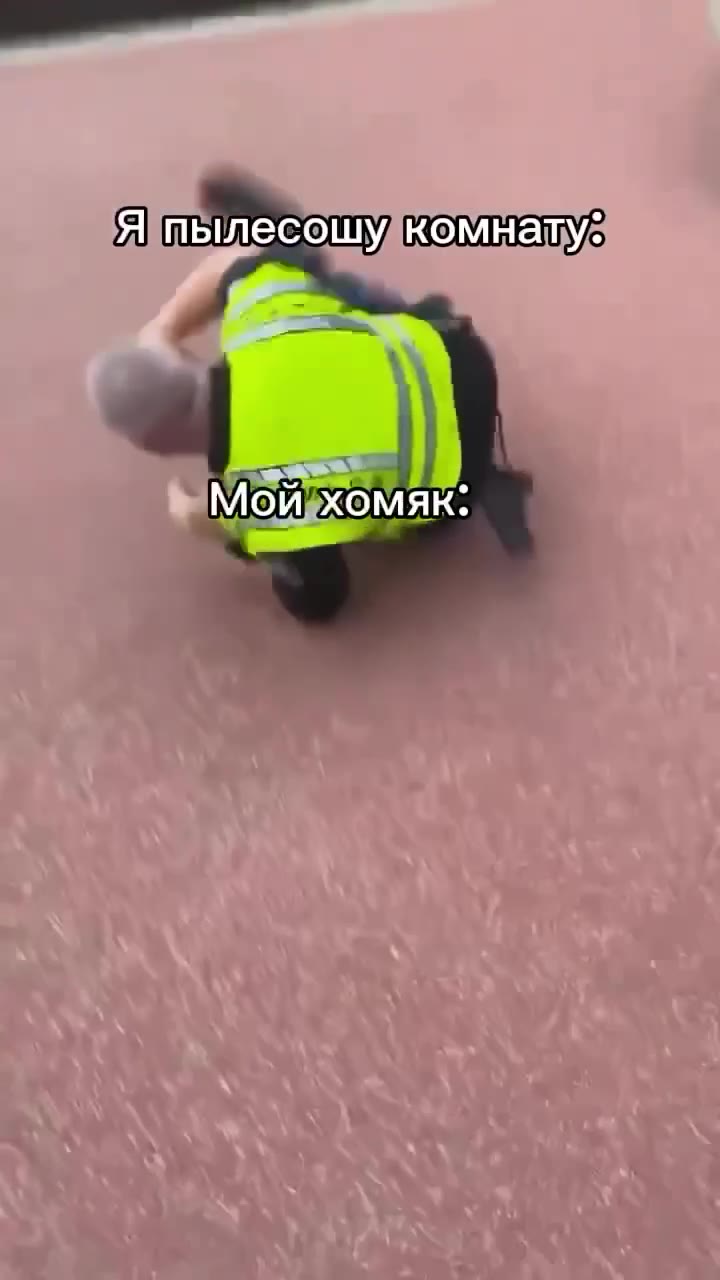 ”—"Я'пылесошу комнату: “Ипылесошу, Мой хомяк: Я пылесошу,