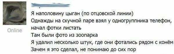 Я наполовину цыган (по отцовской линии) Однажды на скучной паре взял у одногруппника телефон, начал фотки листать Там были фото из зоопарка Я удалил несколько штук, где они фотались рядом с конём Заче