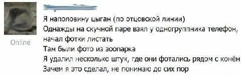 Я наполовину цыган (по отцовской линии) Однажды на скучной паре взял у одногруппника телефон, начал фотки листать Там были фото из зоопарка Я удалил несколько штук, где они фотались рядом с конём Заче