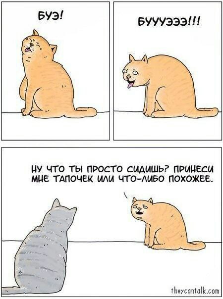 (A НУ ЧТО ТЫ ПРОСТО СИДИШЬ? ПРИНЕСИ МНЕ ТАПОЧЕК ИЛИ ЧТО-ЛИБО ПОХОЖЕЕ. theycantalk.com