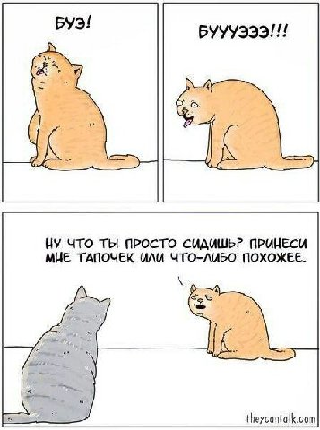 (A НУ ЧТО ТЫ ПРОСТО СИДИШЬ? ПРИНЕСИ МНЕ ТАПОЧЕК ИЛИ ЧТО-ЛИБО ПОХОЖЕЕ. theycantalk.com