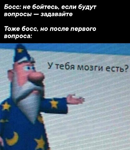 Босс: не бойтесь, если будут вопросы задавайте Тоже босс, но после первого вопроса: У тебя мозги есть?
