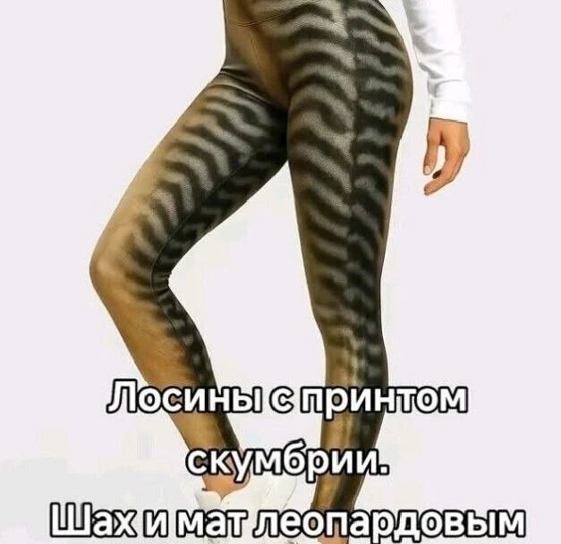 скумбрии