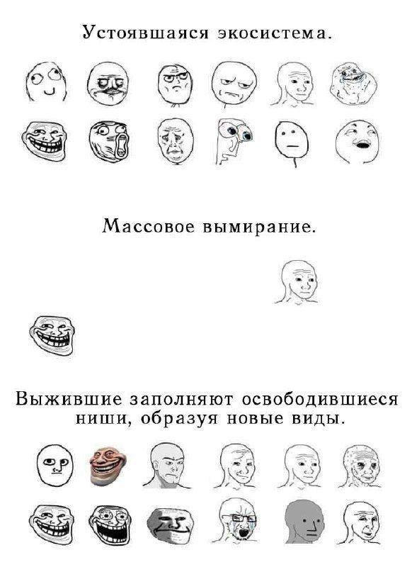 Устоявшаяся экосистема. Массовое вымирание. Выжившие заполняют освободившиеся ниши, образуя новые виды.