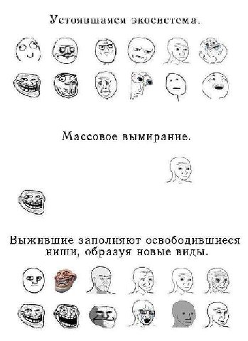 Устоявшаяся экосистема. Массовое вымирание. Выжившие заполняют освободившиеся ниши, образуя новые виды.