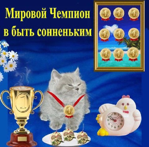 Мировой Чемпион в быть сонненьким