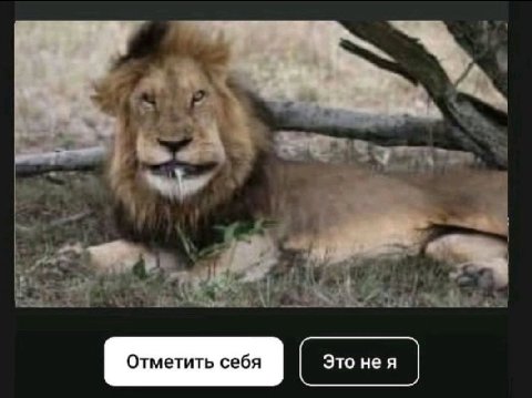 Отметить себя Это нея
