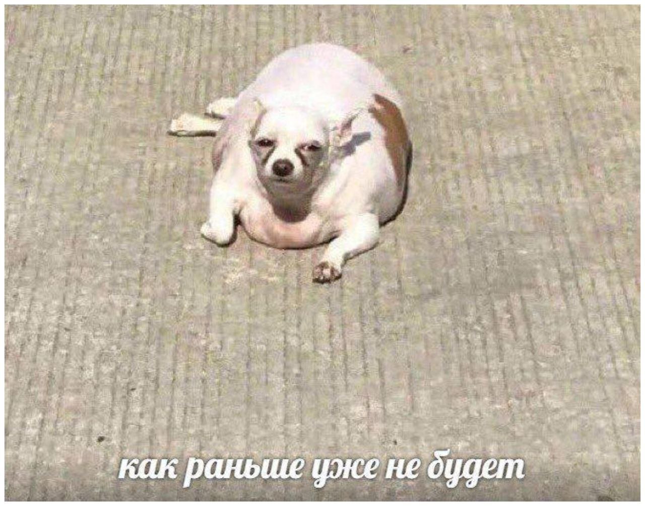4 У a 3 к №4 4 я 26 у уже