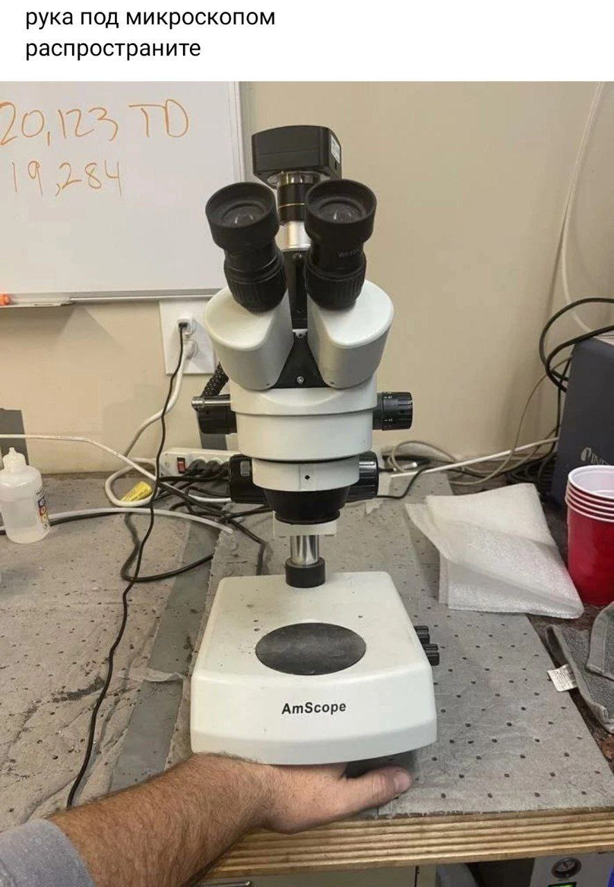 рука под микроскопом распространите в AmScope