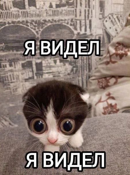 ЯВИДЕЛ Я ВИДЕЛ