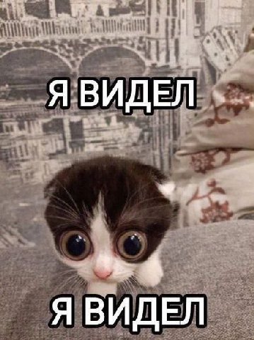 ЯВИДЕЛ Я ВИДЕЛ