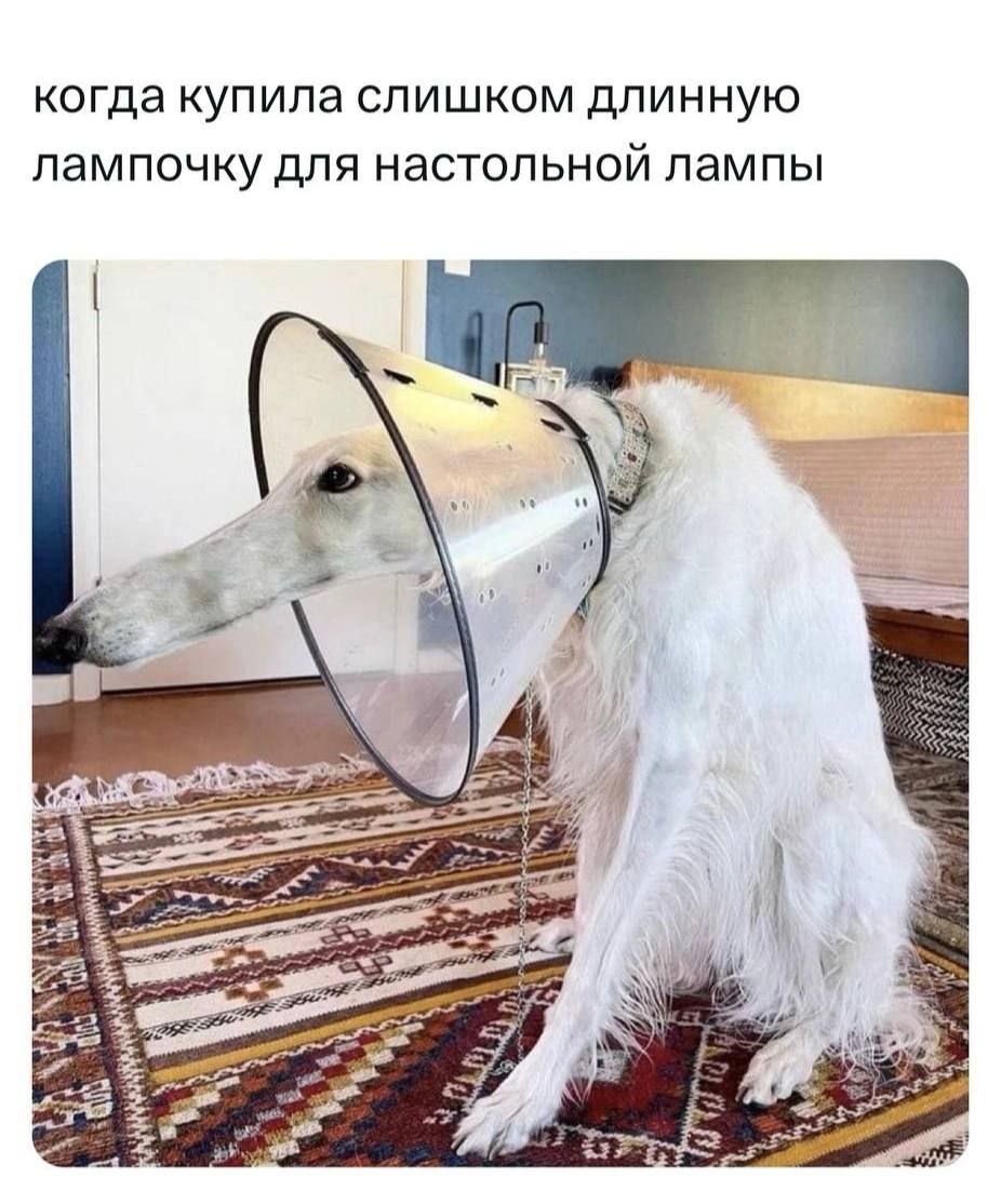 когда купила слишком длинную лампочку для настольной лампы