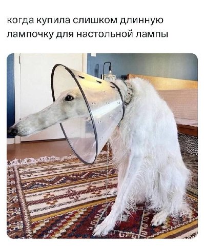 когда купила слишком длинную лампочку для настольной лампы