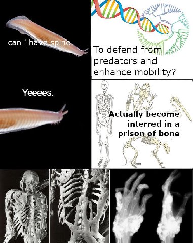 can i «4 То defend from predators and 'епрапсе Yeeees. i “Actually interred ina bone a 21