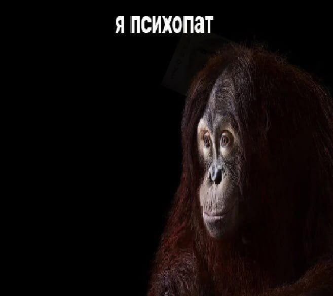 Я