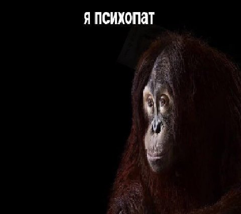 Я