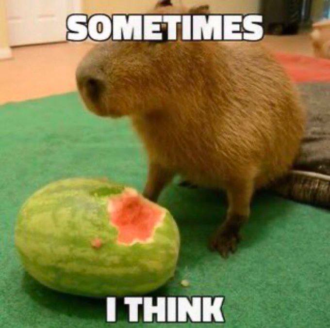SOMETIMES THINK
