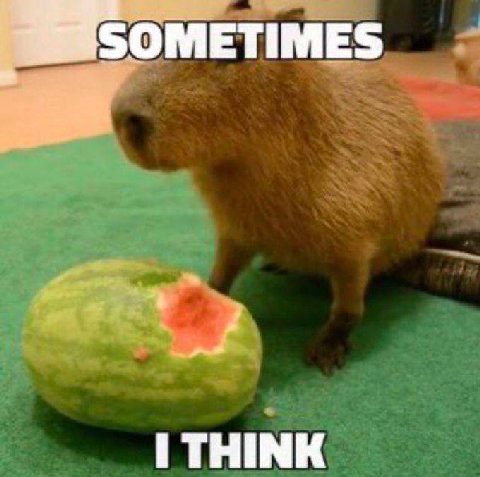 SOMETIMES THINK