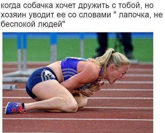 когда собачка хочет дружить с тобой, но хозяин уводит ее словами лапочка, не беспокой людей"