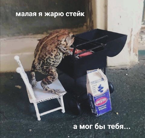 малая я жарю стейк а мог бы тебя...