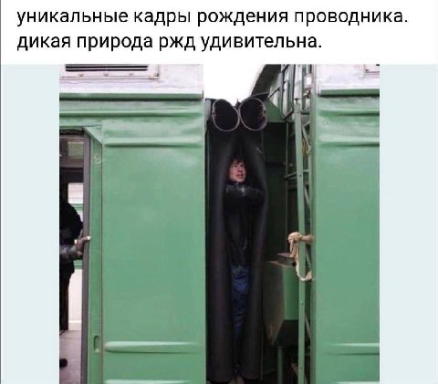 уникальные кадры рождения проводника. дикая природа ржд удивительна. 4